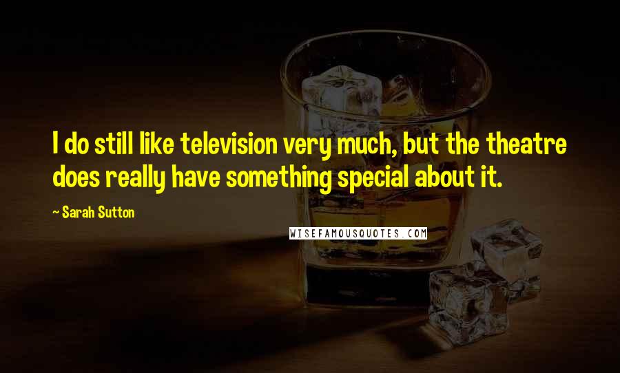 Sarah Sutton Quotes: I do still like television very much, but the theatre does really have something special about it.