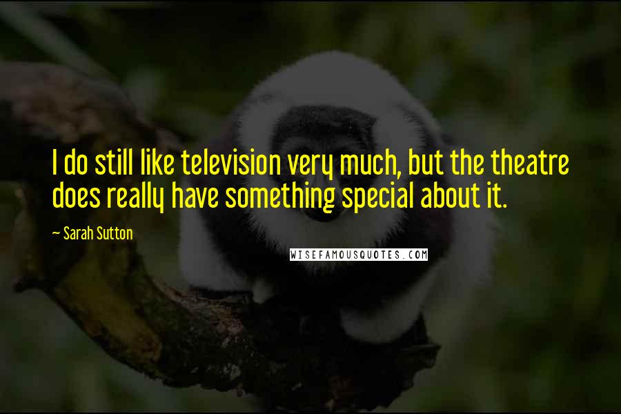 Sarah Sutton Quotes: I do still like television very much, but the theatre does really have something special about it.