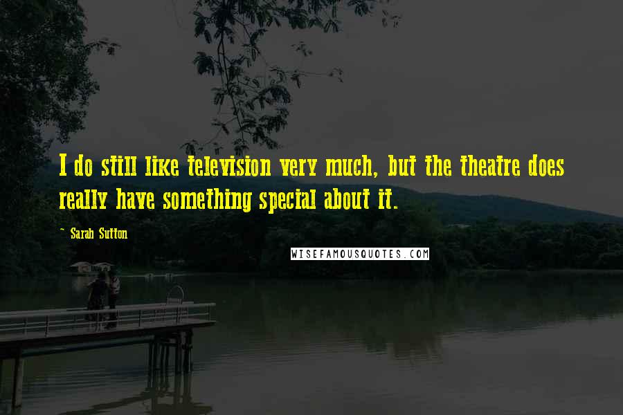 Sarah Sutton Quotes: I do still like television very much, but the theatre does really have something special about it.