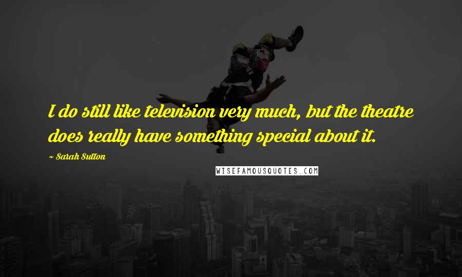 Sarah Sutton Quotes: I do still like television very much, but the theatre does really have something special about it.