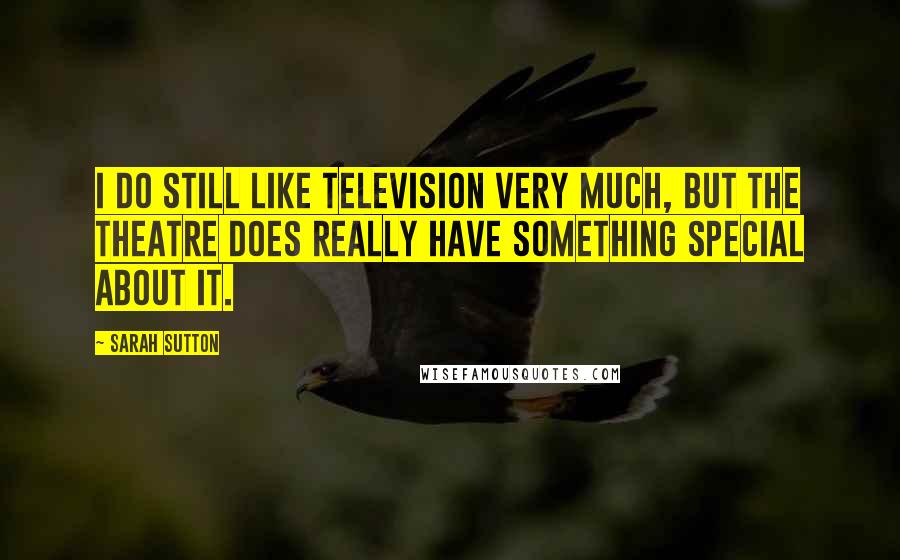 Sarah Sutton Quotes: I do still like television very much, but the theatre does really have something special about it.
