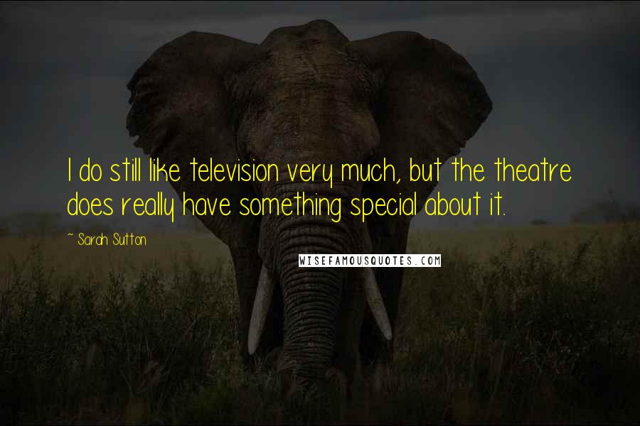 Sarah Sutton Quotes: I do still like television very much, but the theatre does really have something special about it.