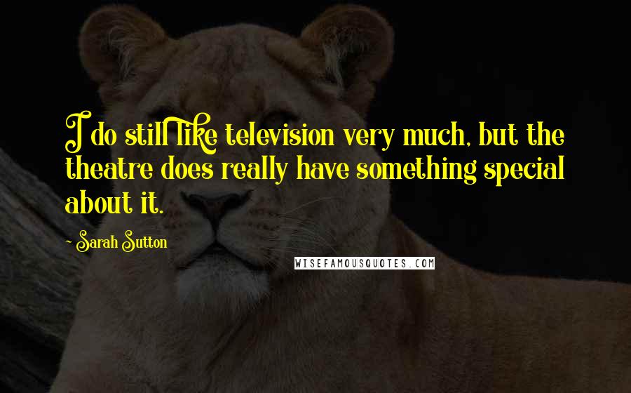 Sarah Sutton Quotes: I do still like television very much, but the theatre does really have something special about it.