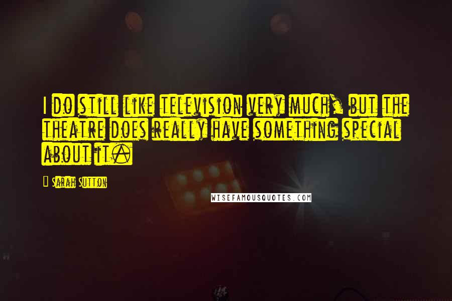 Sarah Sutton Quotes: I do still like television very much, but the theatre does really have something special about it.