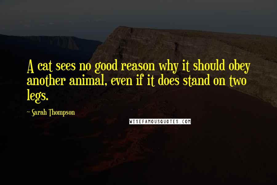 Sarah Thompson Quotes: A cat sees no good reason why it should obey another animal, even if it does stand on two legs.