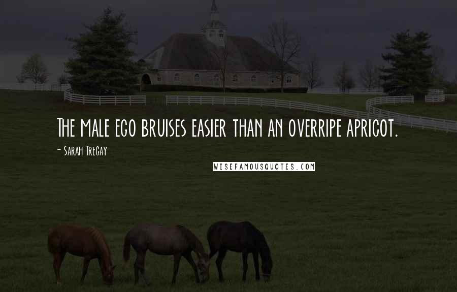 Sarah Tregay Quotes: The male ego bruises easier than an overripe apricot.