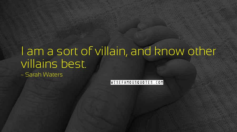 Sarah Waters Quotes: I am a sort of villain, and know other villains best.
