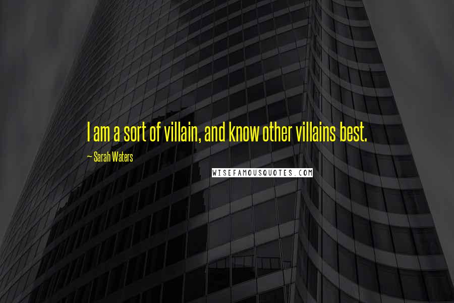 Sarah Waters Quotes: I am a sort of villain, and know other villains best.