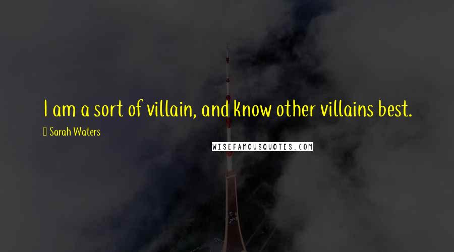 Sarah Waters Quotes: I am a sort of villain, and know other villains best.