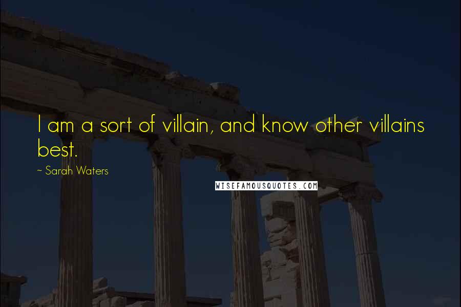 Sarah Waters Quotes: I am a sort of villain, and know other villains best.