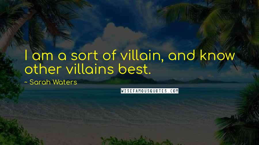 Sarah Waters Quotes: I am a sort of villain, and know other villains best.