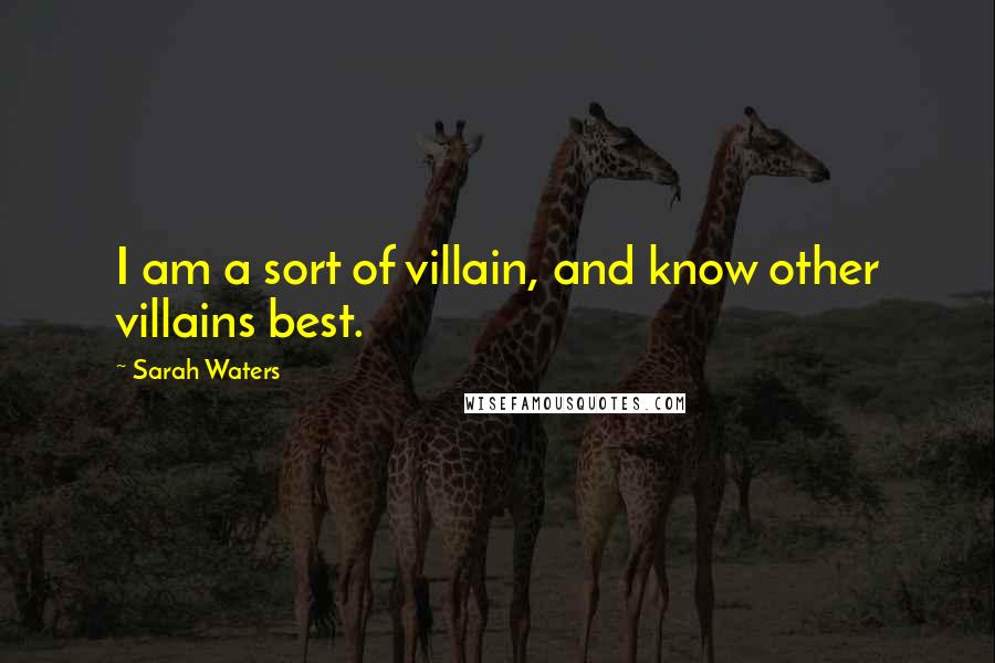 Sarah Waters Quotes: I am a sort of villain, and know other villains best.