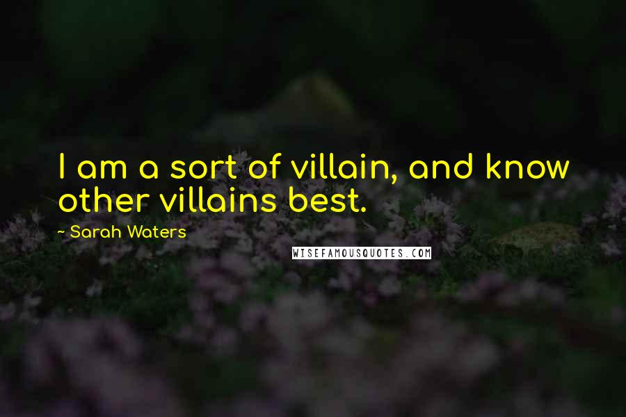 Sarah Waters Quotes: I am a sort of villain, and know other villains best.