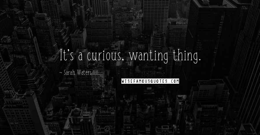 Sarah Waters Quotes: It's a curious, wanting thing.