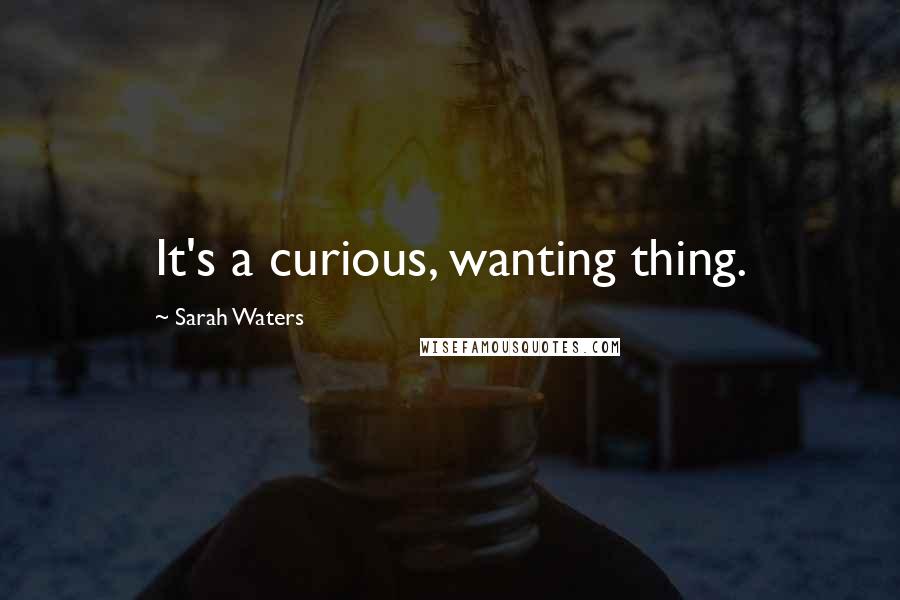 Sarah Waters Quotes: It's a curious, wanting thing.