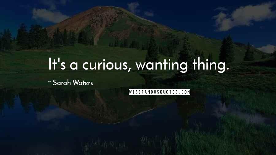 Sarah Waters Quotes: It's a curious, wanting thing.