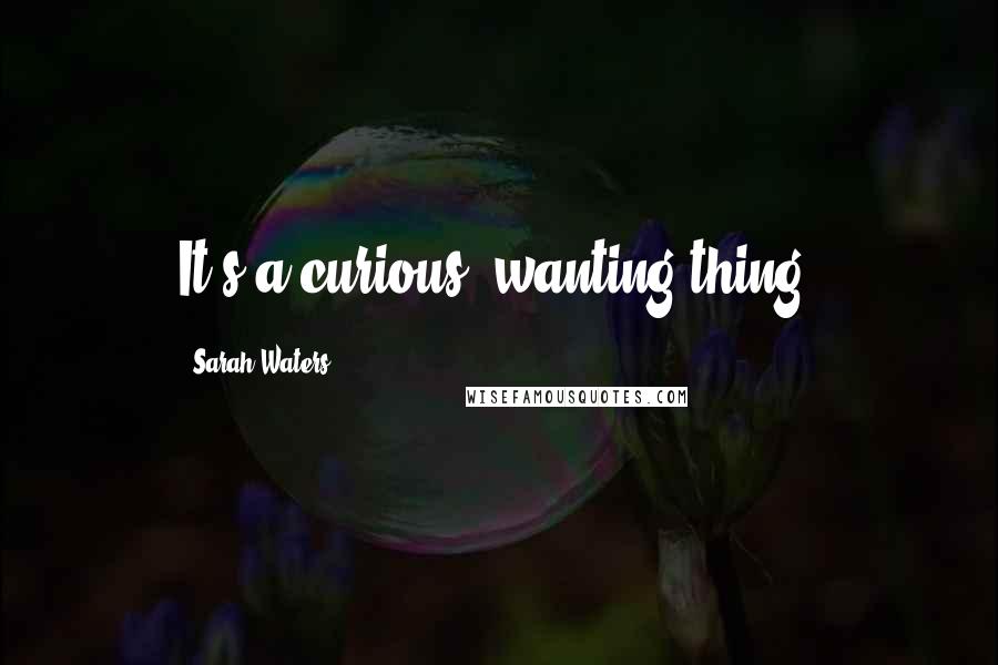 Sarah Waters Quotes: It's a curious, wanting thing.