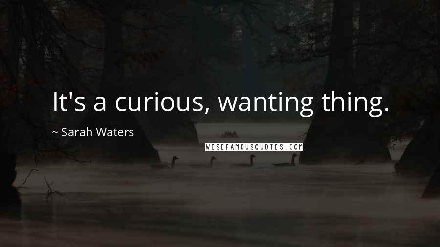 Sarah Waters Quotes: It's a curious, wanting thing.