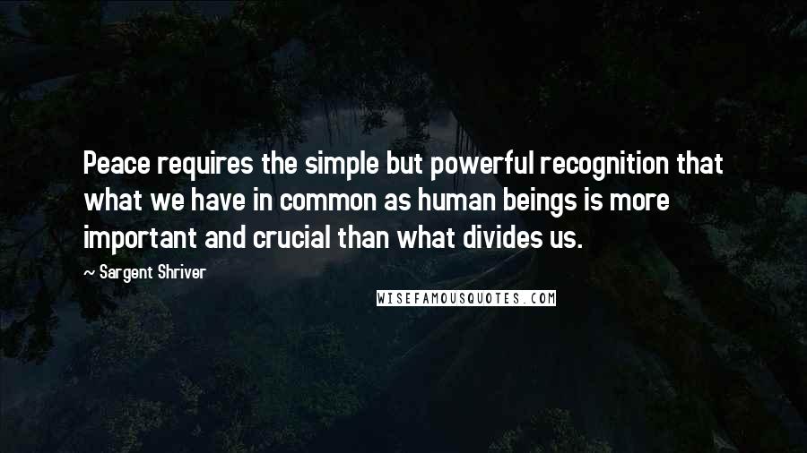 Sargent Shriver Quotes: Peace requires the simple but powerful recognition that what we have in common as human beings is more important and crucial than what divides us.