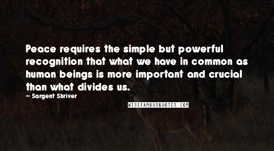 Sargent Shriver Quotes: Peace requires the simple but powerful recognition that what we have in common as human beings is more important and crucial than what divides us.