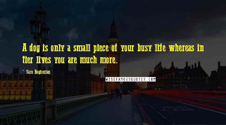 Saro Boghozian Quotes: A dog is only a small piece of your busy life whereas in tier lives you are much more.