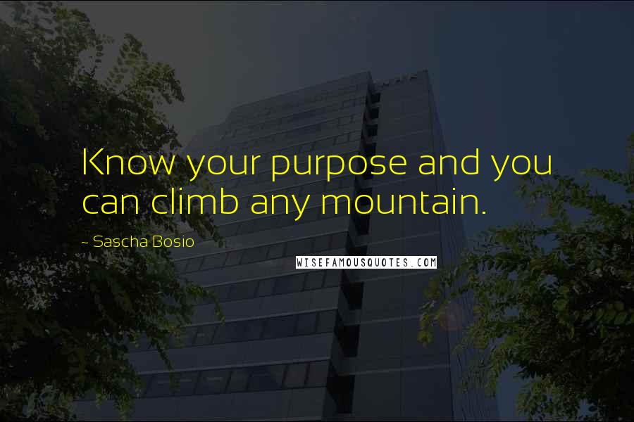 Sascha Bosio Quotes: Know your purpose and you can climb any mountain.