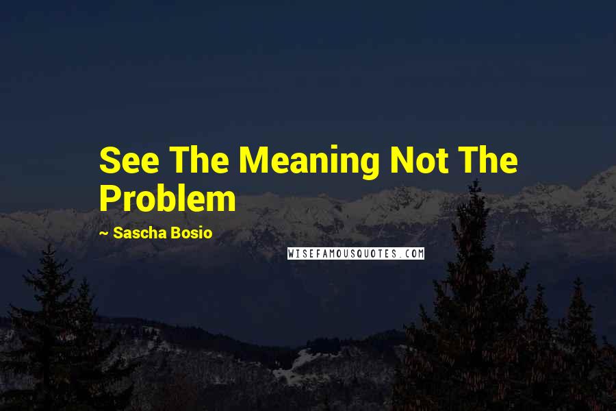 Sascha Bosio Quotes: See The Meaning Not The Problem