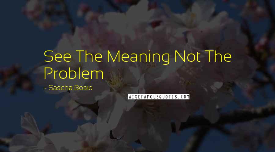 Sascha Bosio Quotes: See The Meaning Not The Problem