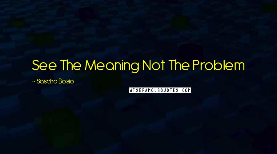 Sascha Bosio Quotes: See The Meaning Not The Problem