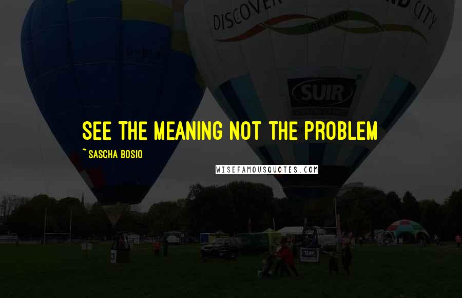 Sascha Bosio Quotes: See The Meaning Not The Problem