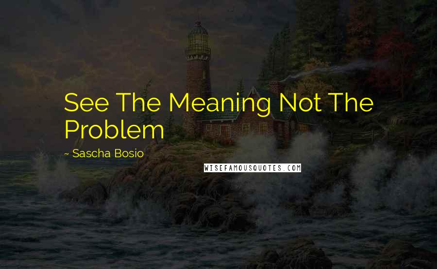 Sascha Bosio Quotes: See The Meaning Not The Problem
