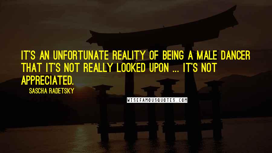 Sascha Radetsky Quotes: It's an unfortunate reality of being a male dancer that it's not really looked upon ... it's not appreciated.