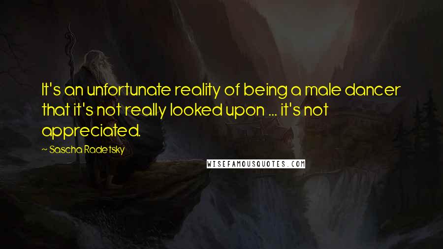 Sascha Radetsky Quotes: It's an unfortunate reality of being a male dancer that it's not really looked upon ... it's not appreciated.