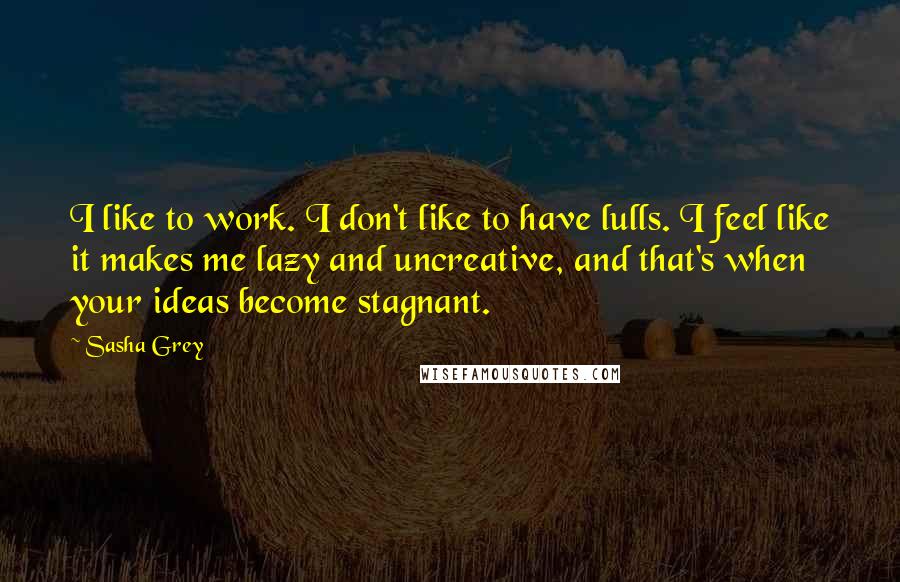 Sasha Grey Quotes: I like to work. I don't like to have lulls. I feel like it makes me lazy and uncreative, and that's when your ideas become stagnant.