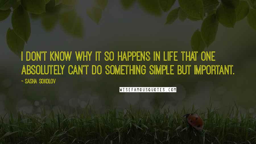 Sasha Sokolov Quotes: I don't know why it so happens in life that one absolutely can't do something simple but important.