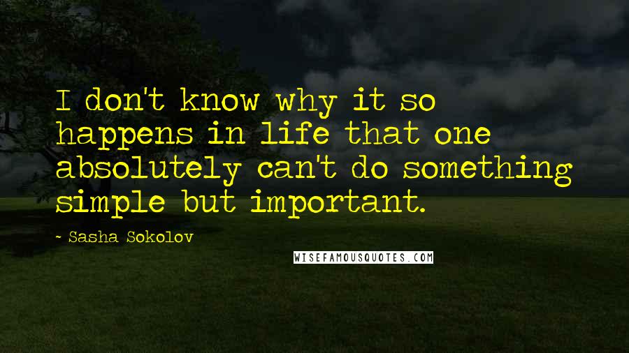 Sasha Sokolov Quotes: I don't know why it so happens in life that one absolutely can't do something simple but important.