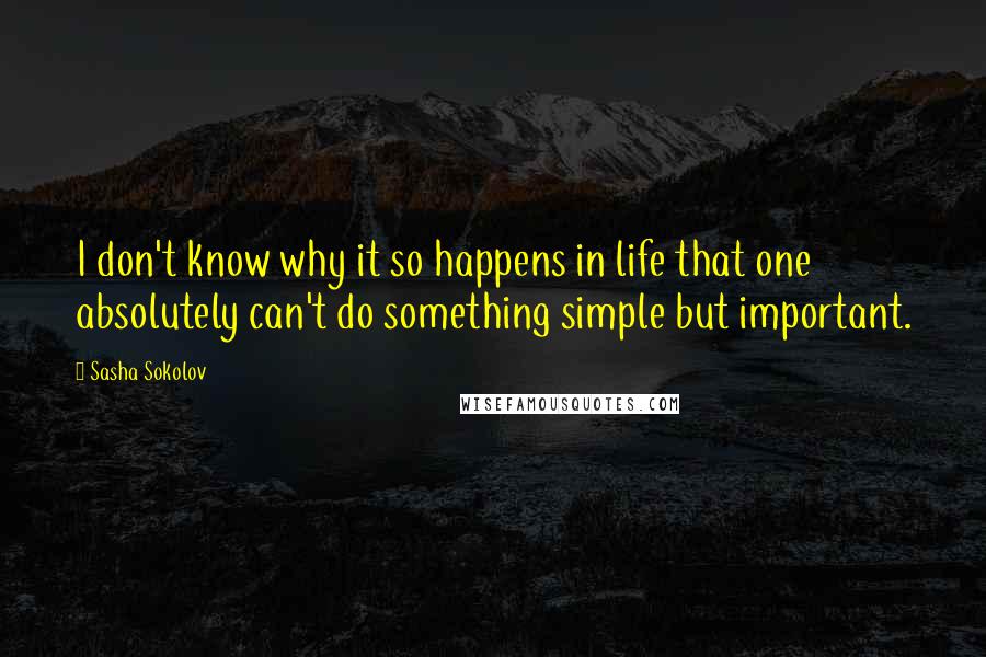Sasha Sokolov Quotes: I don't know why it so happens in life that one absolutely can't do something simple but important.