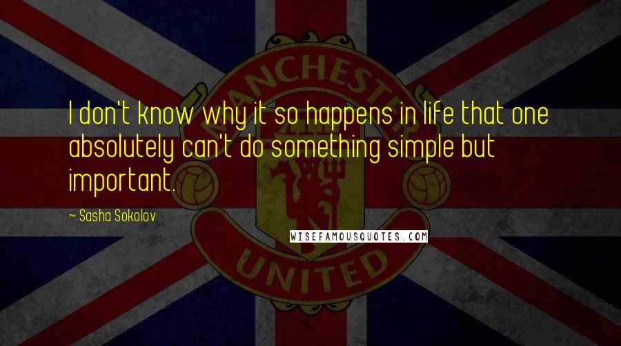 Sasha Sokolov Quotes: I don't know why it so happens in life that one absolutely can't do something simple but important.