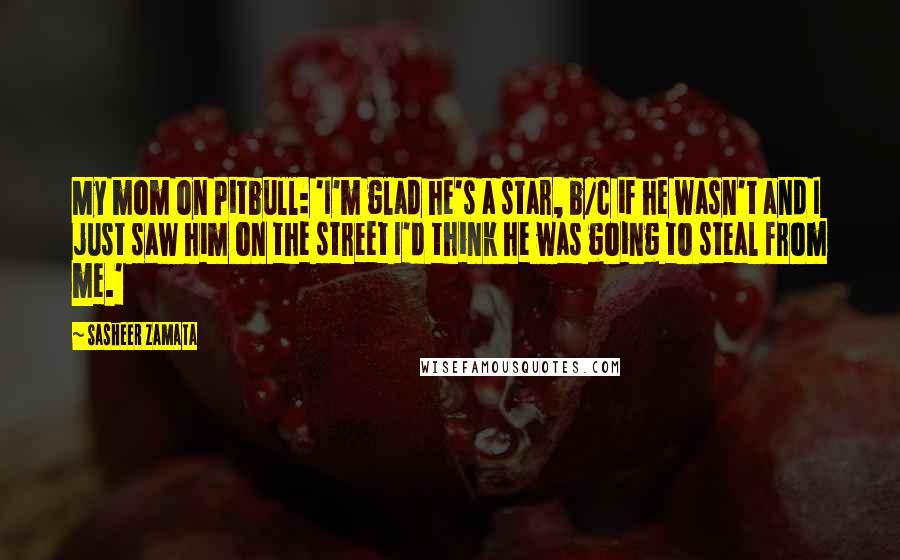 Sasheer Zamata Quotes: My mom on Pitbull: 'I'm glad he's a star, b/c if he wasn't and I just saw him on the street I'd think he was going to steal from me.'