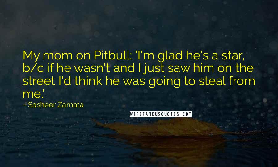 Sasheer Zamata Quotes: My mom on Pitbull: 'I'm glad he's a star, b/c if he wasn't and I just saw him on the street I'd think he was going to steal from me.'