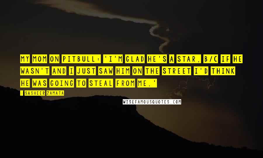 Sasheer Zamata Quotes: My mom on Pitbull: 'I'm glad he's a star, b/c if he wasn't and I just saw him on the street I'd think he was going to steal from me.'