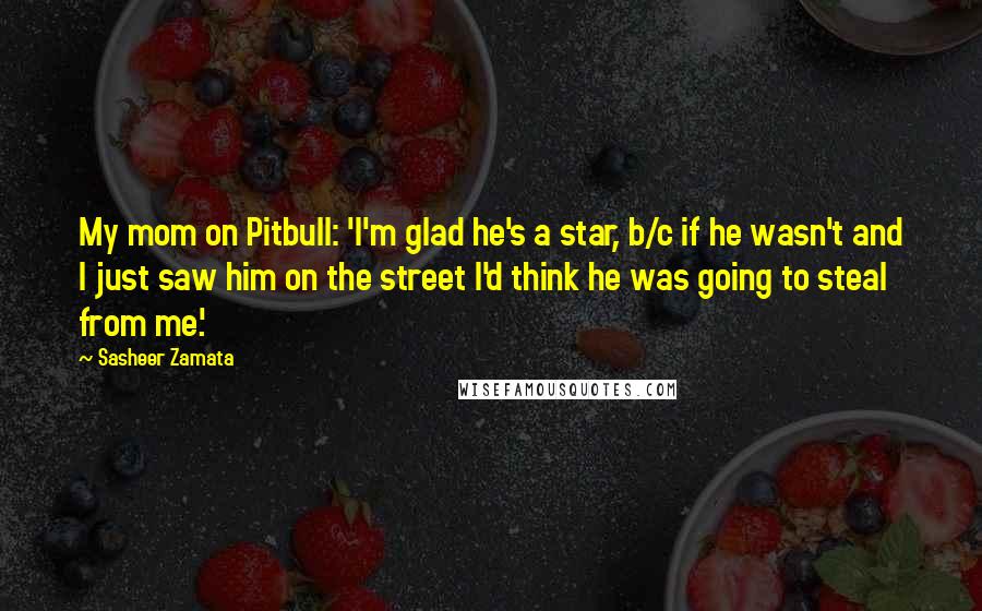 Sasheer Zamata Quotes: My mom on Pitbull: 'I'm glad he's a star, b/c if he wasn't and I just saw him on the street I'd think he was going to steal from me.'