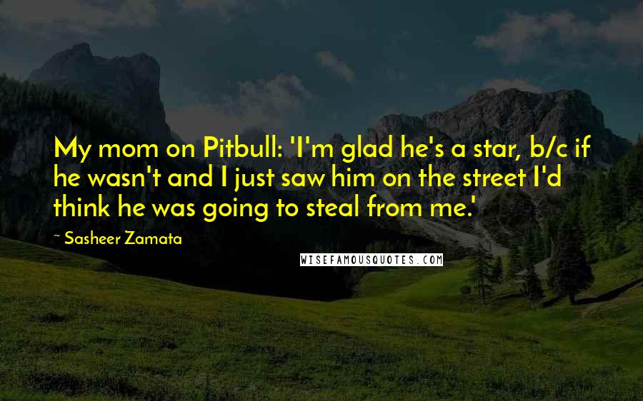 Sasheer Zamata Quotes: My mom on Pitbull: 'I'm glad he's a star, b/c if he wasn't and I just saw him on the street I'd think he was going to steal from me.'