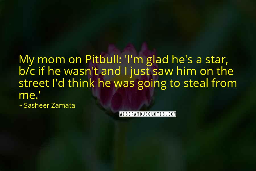 Sasheer Zamata Quotes: My mom on Pitbull: 'I'm glad he's a star, b/c if he wasn't and I just saw him on the street I'd think he was going to steal from me.'