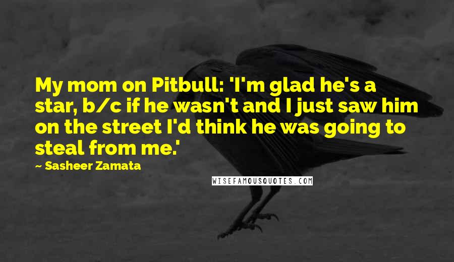 Sasheer Zamata Quotes: My mom on Pitbull: 'I'm glad he's a star, b/c if he wasn't and I just saw him on the street I'd think he was going to steal from me.'