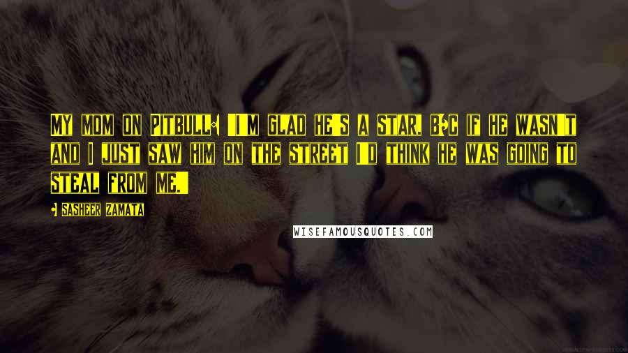 Sasheer Zamata Quotes: My mom on Pitbull: 'I'm glad he's a star, b/c if he wasn't and I just saw him on the street I'd think he was going to steal from me.'