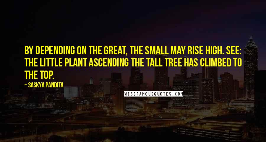 Saskya Pandita Quotes: By depending on the great, The small may rise high. See: the little plant ascending the tall tree Has climbed to the top.