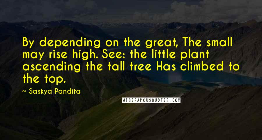 Saskya Pandita Quotes: By depending on the great, The small may rise high. See: the little plant ascending the tall tree Has climbed to the top.