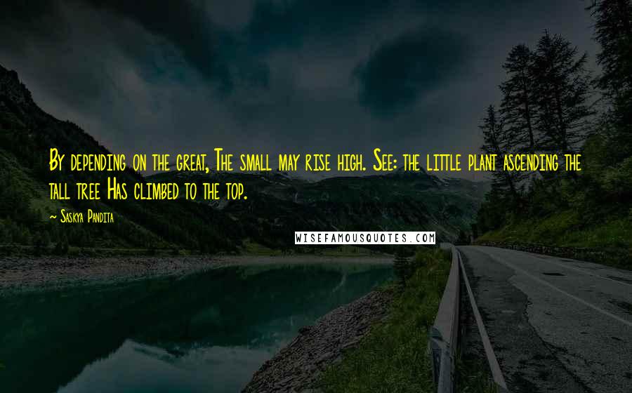 Saskya Pandita Quotes: By depending on the great, The small may rise high. See: the little plant ascending the tall tree Has climbed to the top.
