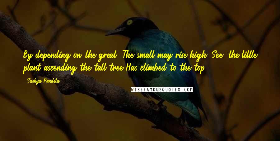 Saskya Pandita Quotes: By depending on the great, The small may rise high. See: the little plant ascending the tall tree Has climbed to the top.
